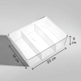 Органайзер 20x6x16 см пластик без крышки цвет прозрачный