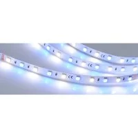 Светодиодная лента Arlight RT-B60-10mm 24V RGBW-Day
