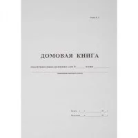 Бухгалтерская книга Attache Домовая книга поквартирная