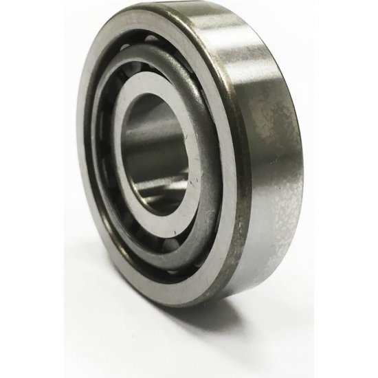 Подшипник DINROLL N317M