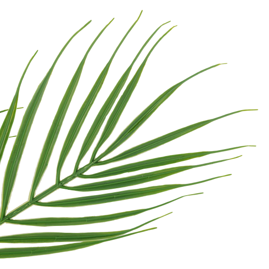 Ветка декоративная Пальма 60 см цвет зелёный
