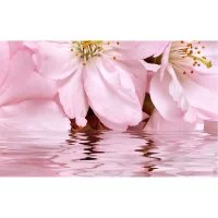 Декоративный массив Belleza Букет