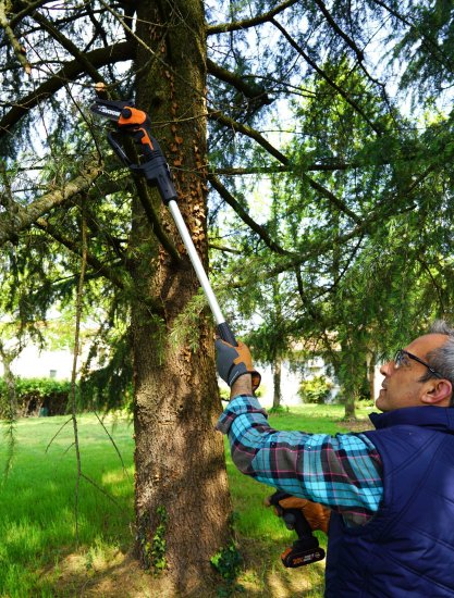 Штанга удлинительная для пилы Worx WP342E