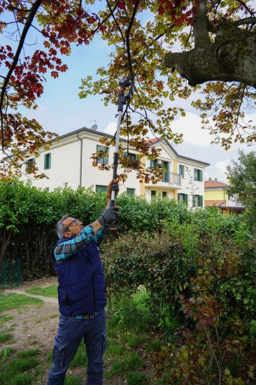 Штанга удлинительная для пилы Worx WP342E