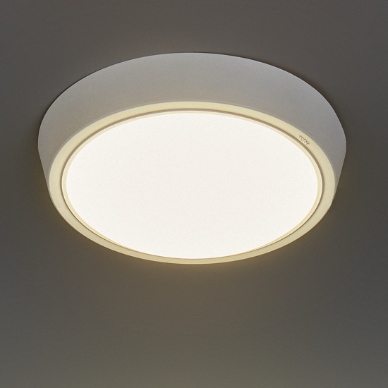 Светильник настенно-потолочный светодиодный Wolta DBO01-20-4K 20 Вт цвет белый IP40 накладной