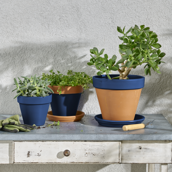 Эмаль аэрозольная декоративная Luxens сатинированная цвет сапфирово-синий 520 мл