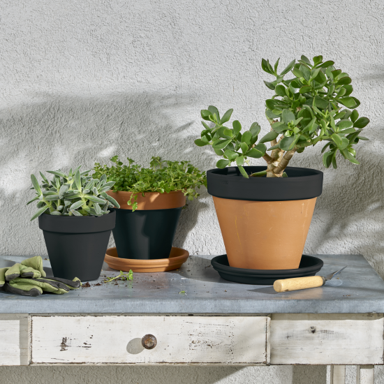 Эмаль аэрозольная декоративная Luxens сатинированная цвет черный 210 мл