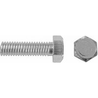 Болт swfs М10х60 DIN933 2 шт.