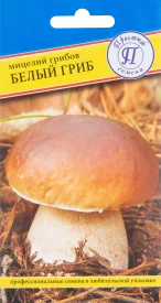 Мицелий Белый гриб 60 мл