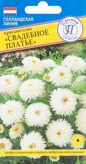 Хризантема Свадебное платье, 10 шт.