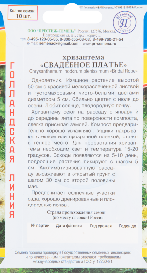 Хризантема Свадебное платье, 10 шт.