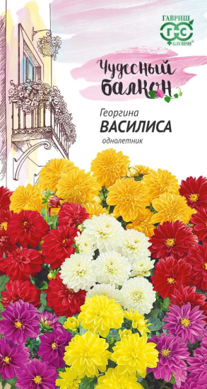 Семена Георгина Василиса