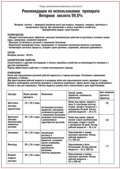 Янтарная кислота 5 г