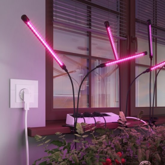 Умная розетка Werkel Minimir Home (W1171601) скрытая установка белая с заземлением