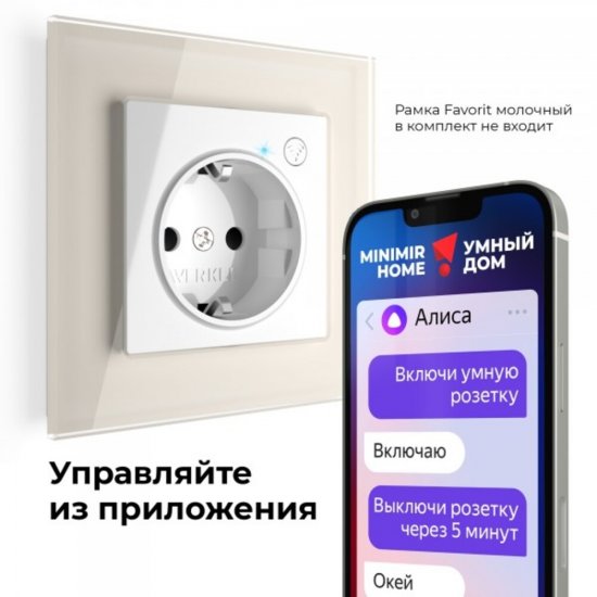 Умная розетка Werkel Minimir Home (W1171601) скрытая установка белая с заземлением