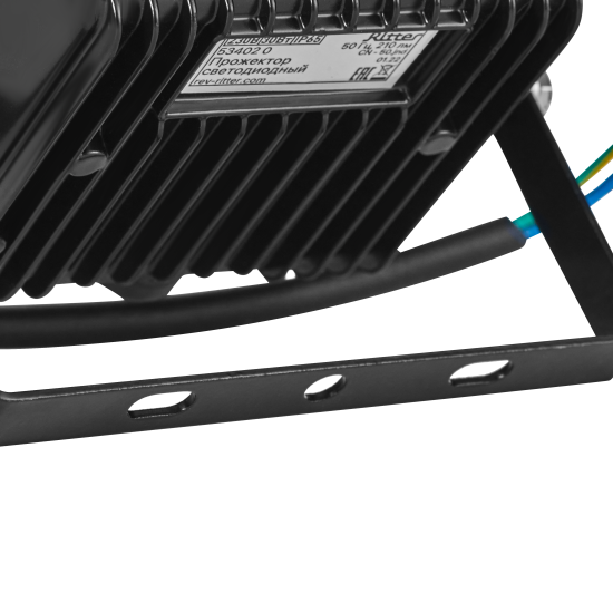 Прожектор светодиодный уличный Ritter RGB+W 30 Вт 4000К IP65 с пультом управления черный