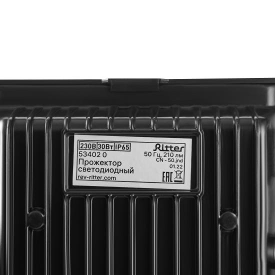 Прожектор светодиодный уличный Ritter RGB+W 30 Вт 4000К IP65 с пультом управления черный