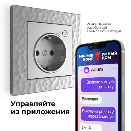 Умная розетка Werkel Minimir Home (a056420) скрытая установка серебро с заземлением