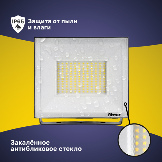Прожектор светодиодный уличный Ritter Profi 53410 9 100 Вт 10000 Лм 180-240В холодный белый свет 6500К IP65 черный
