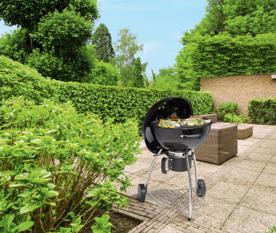 Гриль передвижной Naterial Phoenix Beta D57 см цвет черный