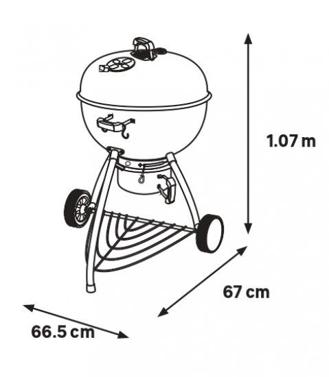 Гриль передвижной Naterial Phoenix Beta D57 см цвет черный