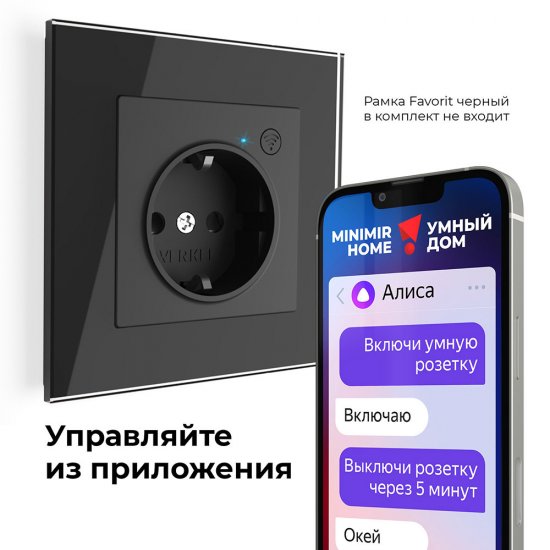 Умная розетка Werkel Minimir Home (a056422) скрытая установка черная с заземлением