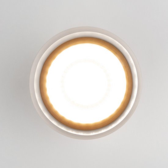 Светильник светодиодный садово-парковый накладной Elektrostandard Light LED белый 148 мм 4000К 15 Вт IP54 (35140/H)