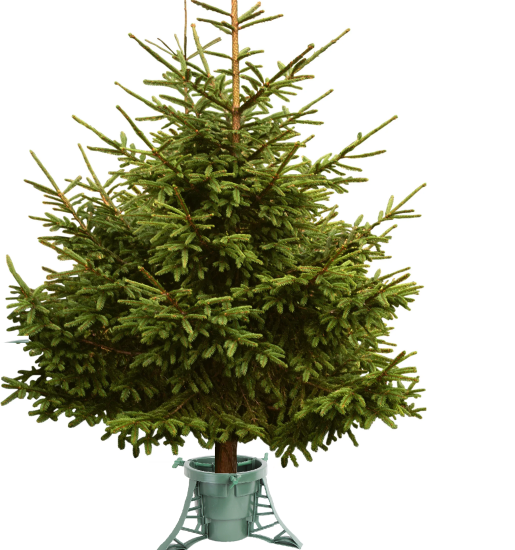 Подставка для ели Космос пластик цвет зелёный