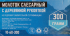 Молоток слесарный Vertextools 10-60-300 деревянная рукоятка 300 г
