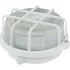 Светильник TDM ELECTRIC НПП 03-100-005.04 У3