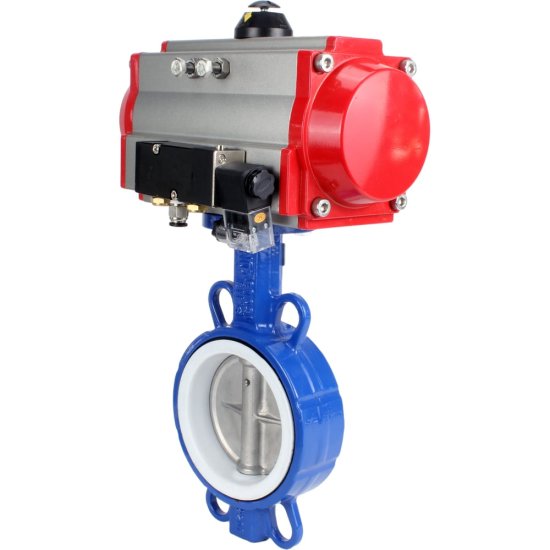 Затвор DN.ru wcb-316l-ptfe