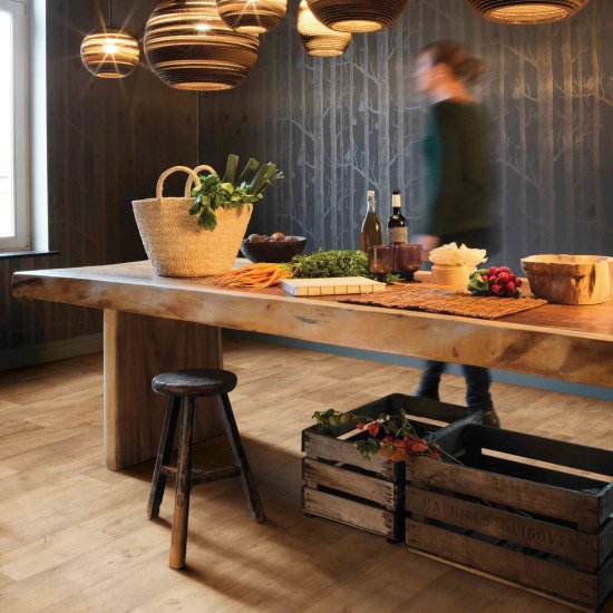 Линолеум полукоммерческий 3 м Juteks Forum Forest 7801 антистатический