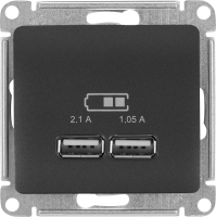 Розетка Systeme Electric Glossa USB встраиваемая цвет графитовый