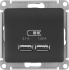 Розетка Systeme Electric Glossa USB встраиваемая цвет графитовый