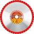 Сегментный алмазный круг Кристалл 1A1RSS/C1