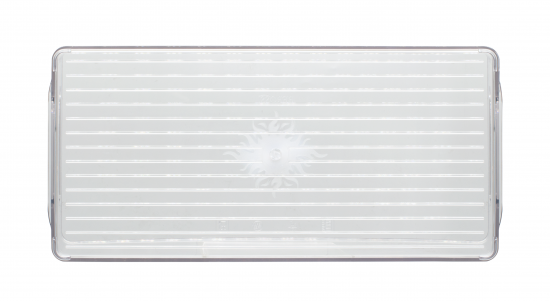 Емкость для холодильника 1 отсек Delinia LM 15.2x7.5x31.23 см пластик цвет прозрачный