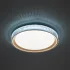 Светильник настенно-потолочный светодиодный Lumion Shiny 3054/DL 48 Вт регулируемый белый свет цвет золотой
