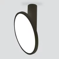 Накладной светильник Elektrostandard DLS029