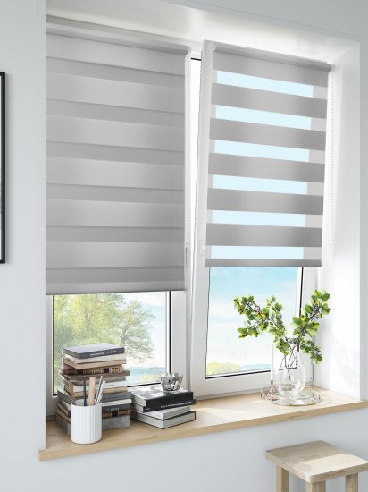 Штора рулонная день-ночь Inspire Peter 60x160 см светло-серая