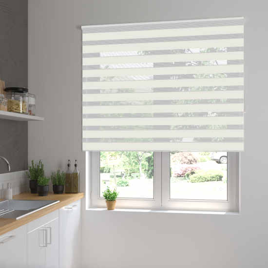 Штора рулонная день-ночь Inspire Peter 160x175 см белая