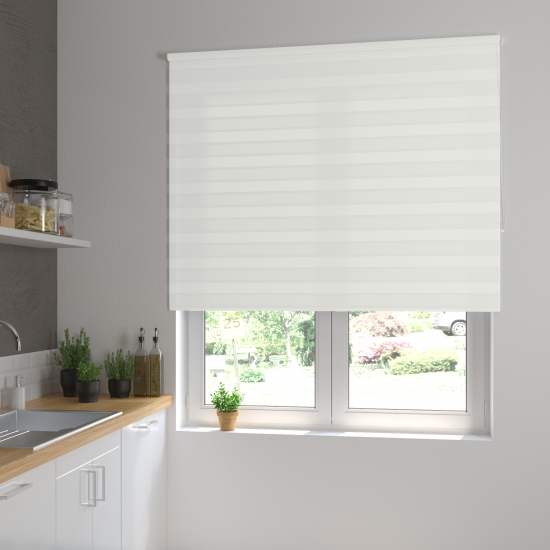 Штора рулонная день-ночь Inspire Peter 160x175 см белая