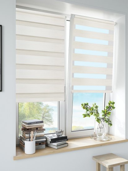 Штора рулонная день-ночь Inspire Peter 55x160 см экрю