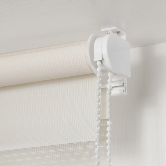 Штора рулонная день-ночь Inspire Peter 55x160 см экрю