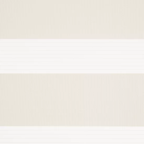 Штора рулонная день-ночь Inspire Peter 55x160 см экрю