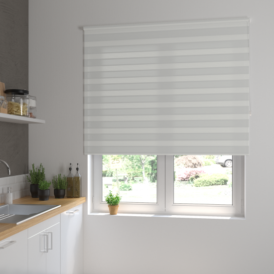 Штора рулонная день-ночь Inspire Peter 140x175 см светло-серая