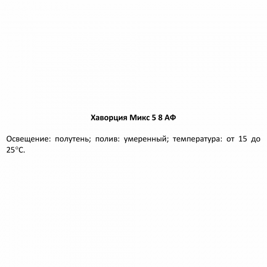 Хаворция микс ø5 h8 см