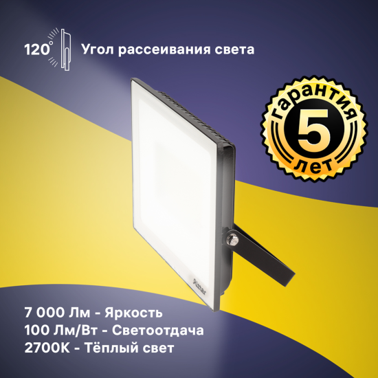 Прожектор светодиодный уличный Ritter Profi 70 Вт 2700К IP65 теплый белый свет