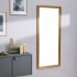 Зеркало декоративное Inspire Классика прямоугольное 50x120 см цвет золото античное