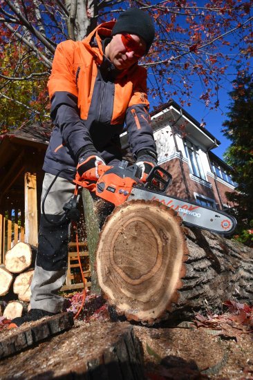 Пила электрическая Daewoo DACS 1900E 1850 Вт 35 см