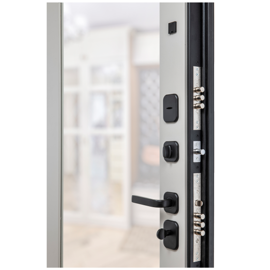 Дверь входная металлическая Порта Р-3 88x205 см левая серая с зеркалом